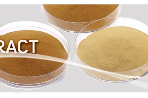 高品質酵母萃取物<br><span>Yeast Extract</span>